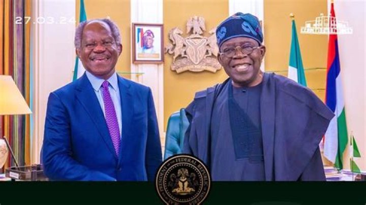 Adebayo Ogunlesi Biography: Age, Profile & Net Worth