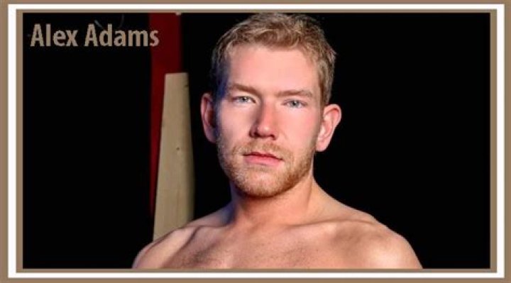 Alex Adams Bio, Wiki, Age, Height, Family, Dating, Blogger, and Net Worth.