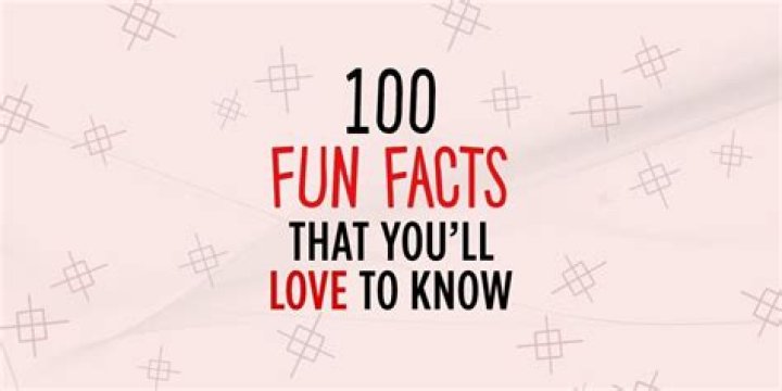 Anthony Timpano: 10 Facts To Know About
