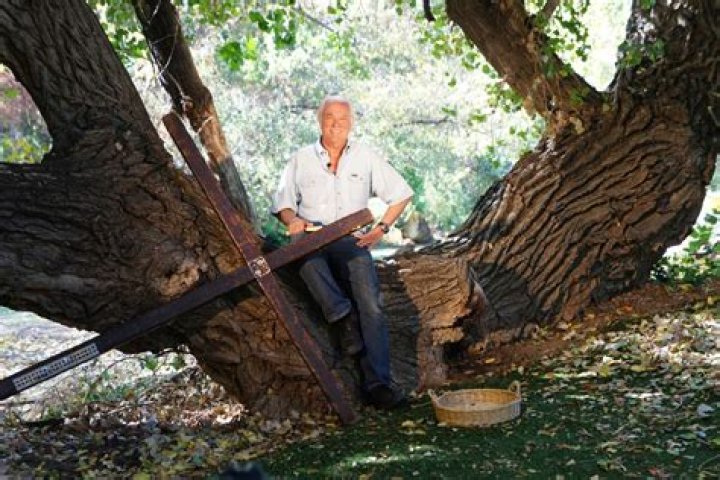 Arthur Blessitt Net Worth, Income, Salary, Earnings, Biography