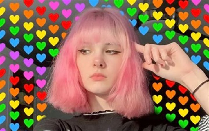 Bianca Devins Facts, Bio, Wiki, Net Worth, Age, Height, Family, Affair, Salary, Famous for, E-girl, Boyfriend, Murder, Sister, Emo, Death, Died