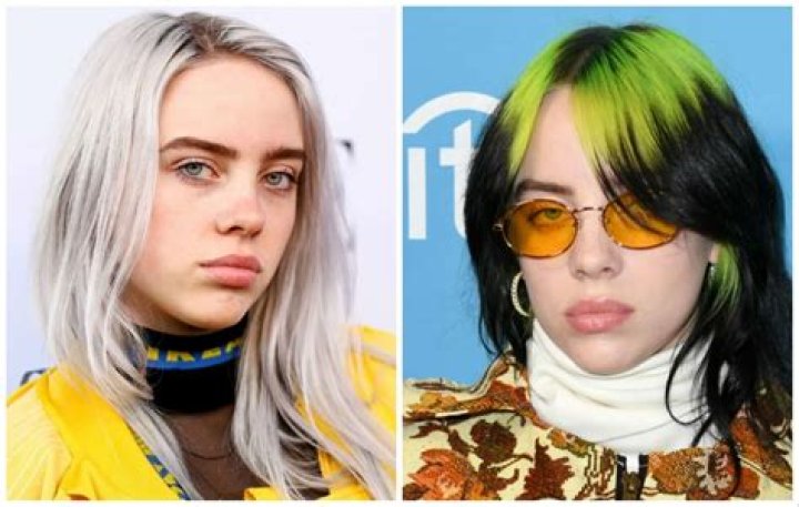 Billie Eilish Net Worth, Biography, Wiki, Boyfriend, Age, Parents, Family, photos or more