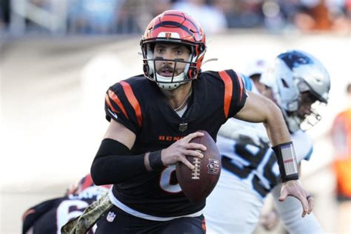 Cincinnati Bengals QB Brandon Allen Brother Austin Allen; Age Gap family Ethnicity And Net Worth Difference