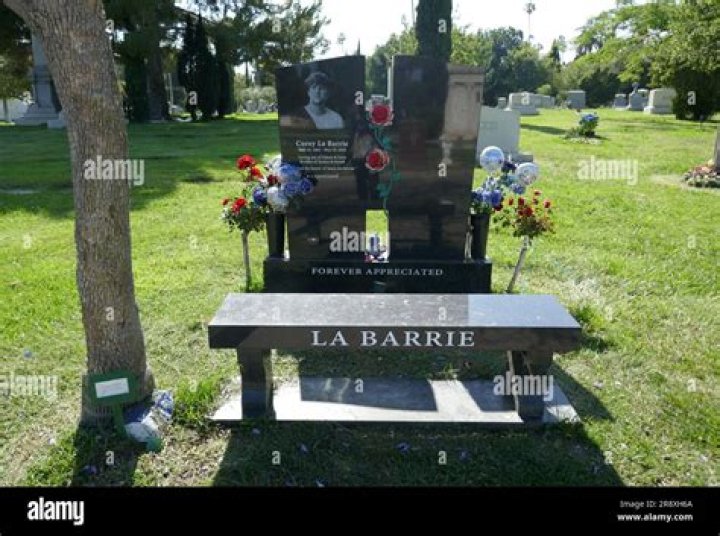 Corey La Barrie Height, Weight, Net Worth, Age, Birthday, Wikipedia, Who, Nationality, Biography