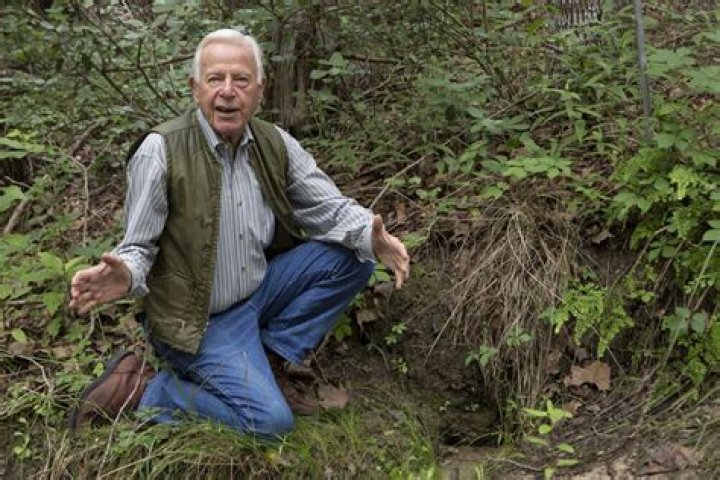 David Bamberger Net Worth, Income, Salary, Earnings, Biography