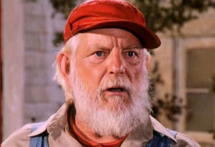 Denver Pyle’s Net Worth Before His Death: How Rich Was The Film Director?
