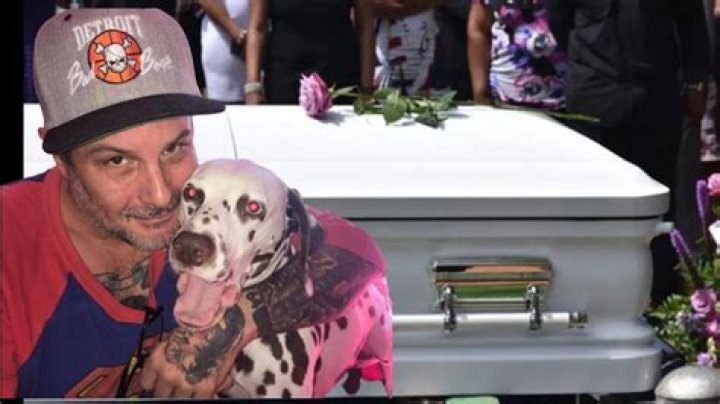 Detroit Lions MI Dan Lippitt Obituary And Death Cause: Family Mourns The Loss