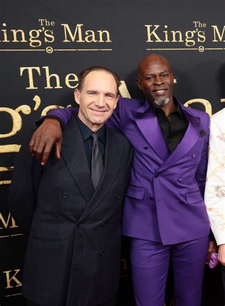 Djimon Hounsou Net Worth, Income, Salary, Earnings, Biography