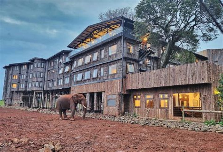 Eland Safari Hotel, Nyeri, Kenya