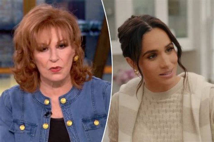 
Fans Wonder If Elisabeth Hasselbeck Was Fired From The View After She Returned As A Guest Host? 