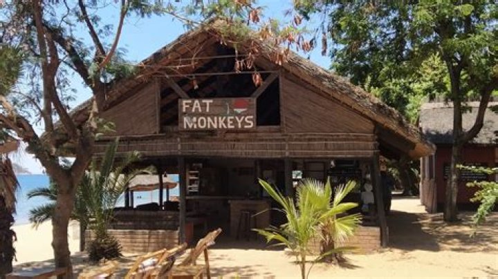Fat Monkey Lodge, Monkey Bay, Malawi
