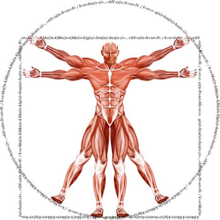 Gunter Schlierkamp’s biography, net worth, fact, career, awards and life story