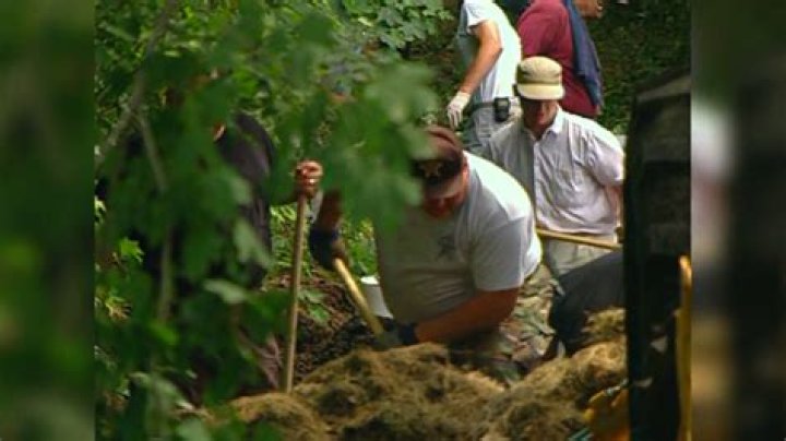 Herb Baumeister’s biography, net worth, fact, career, awards and life story