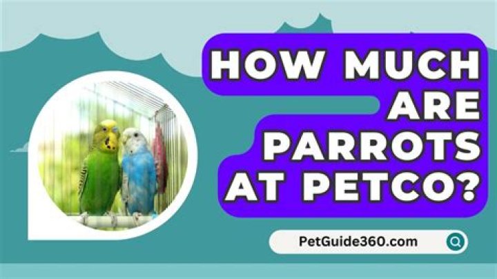 How much are parrots at petco