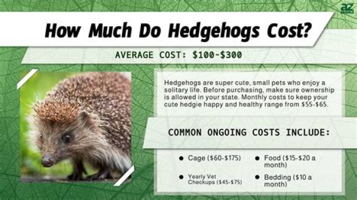 How much do hedgehogs cost at petsmart