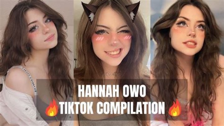 How Old Is Aestheticallyhannah? Learn Everything About The Influencer Hannah Owo