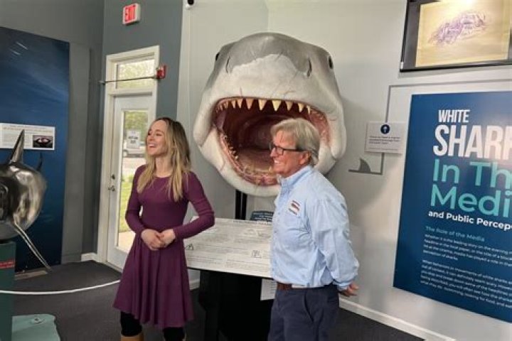 How Old Is Alison Towner? Everything To Know About Senior White Shark Biologist