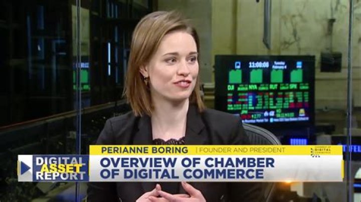 How Old Is Perianne Boring? Details About Chamber of Digital Commerce Founder