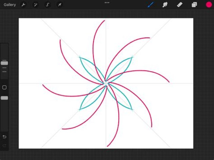 How to do mirror on procreate