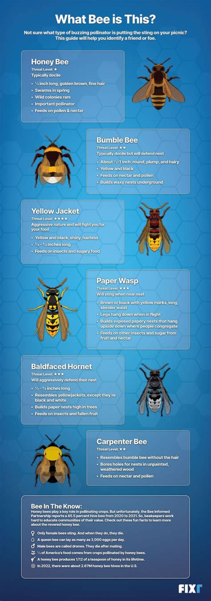 How to get rid of a swarm of bees