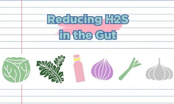 How to get rid of hydrogen sulfide in body