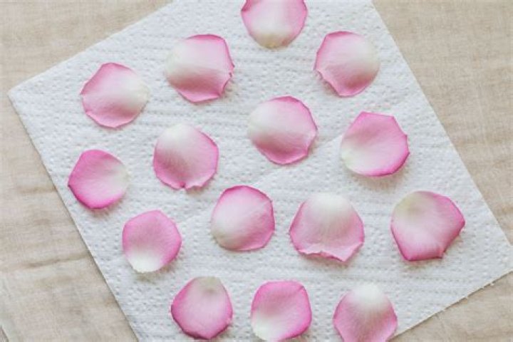 How to preserve rose petals