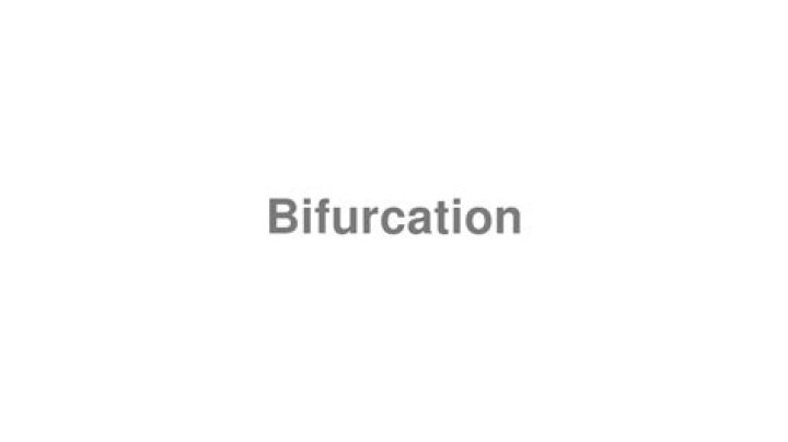 How to pronounce bifurcation