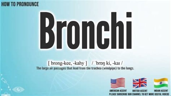 How to pronounce bronchi