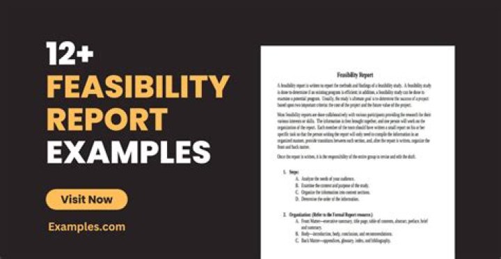 How to write a feasibility report sample