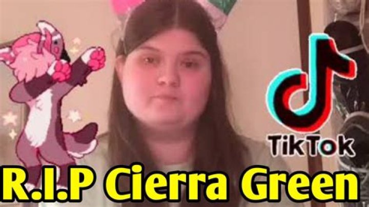 Icierra TikTok Death – Cierra Green Age And Instagram, Is She Dead?