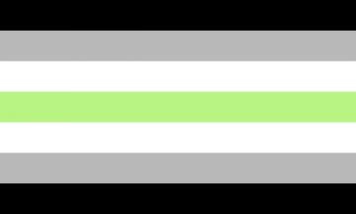 Is Adam Dimarco Gay? What We Know About His Sexuality And Gender