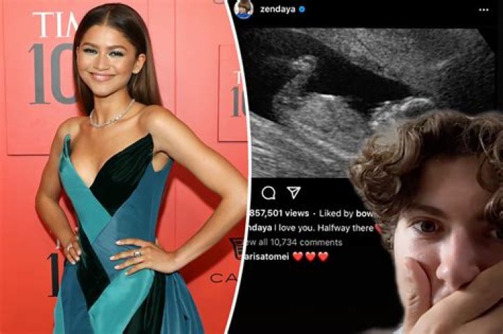 Is Zendaya Pregnant? Rumors About The Actress Addressed