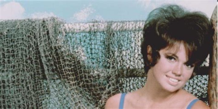 Jo Ann Pflug’s Net Worth, Husband, Divorce – Biography. Today