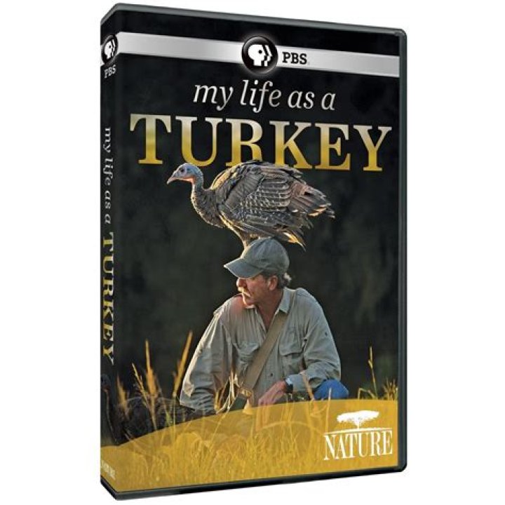 Joe Hutto Wikipedia: Everything To Know About The ‘My Life As A Turkey’ Author