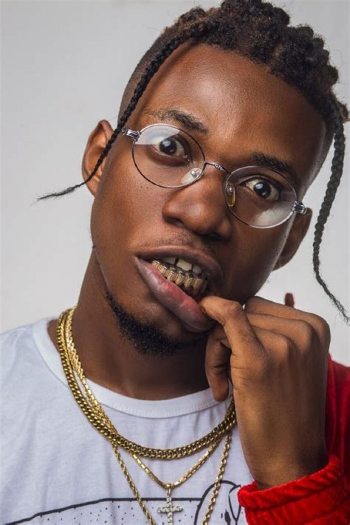 King Perry Biography: Real Name, Age, Song, Net Worth, Wikipedia, Girlfriend Secret Facts & More