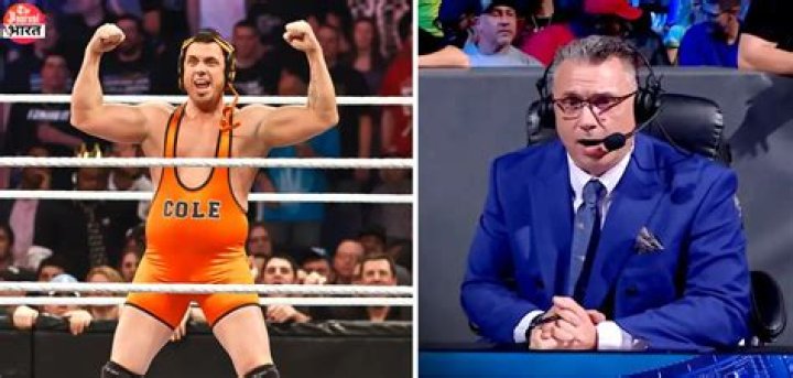 Michael Cole Net Worth, Income, Salary, Earnings, Biography