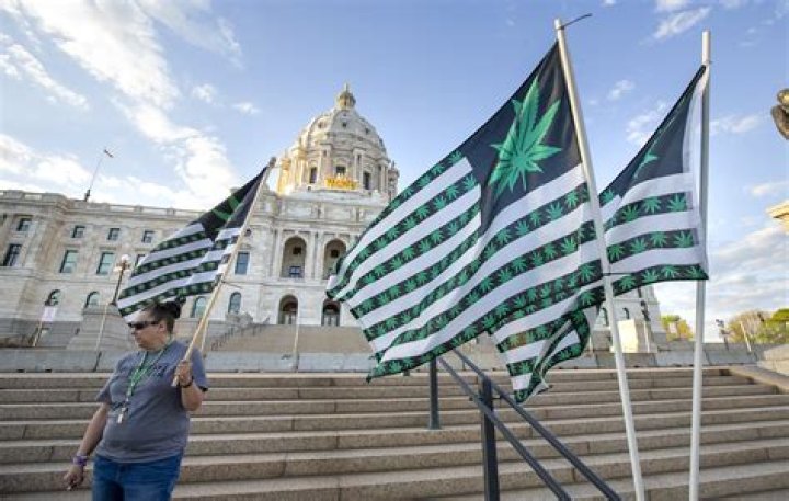 
Minnesota Senate passes Lindsey Port’s marijuana legalization bill: What’s next? 