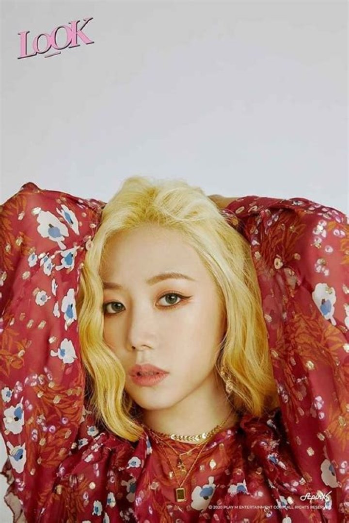 Namjoo (Apink Member) Profile, Wiki, Biography, Age, Height, Career, Boyfriend, Net Worth, Family, Facts