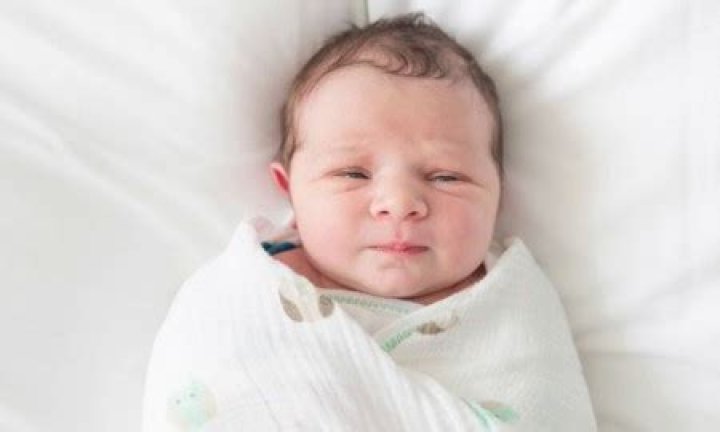 Nicholas Confessore Height, Weight, Net Worth, Age, Birthday, Wikipedia, Who, Instagram, Biography