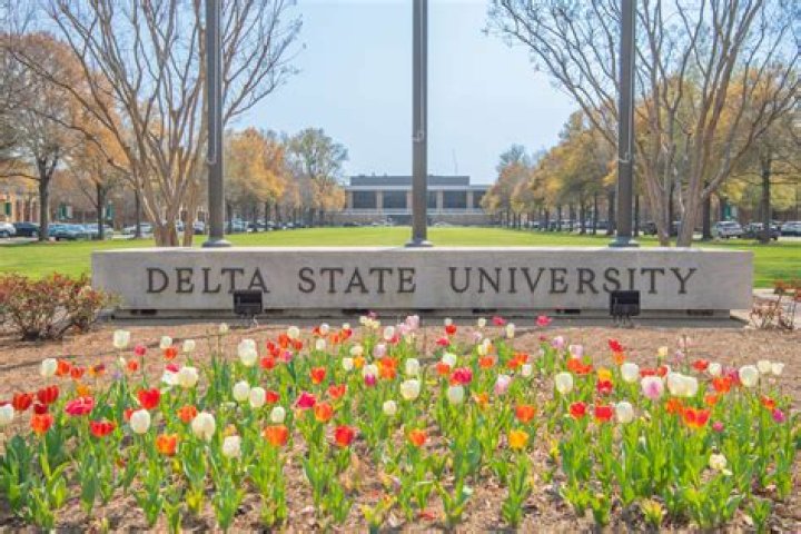 Official List of Courses Offered in Delta State University (DELSU)