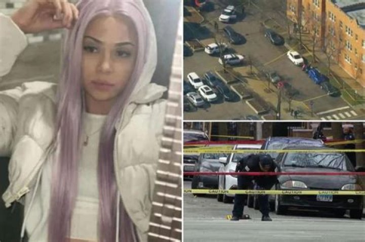 
Pregnant Chicago woman killed while trying to pull off robbery: report 