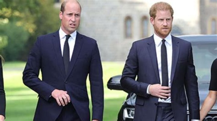 
Prince Harry’s reunion with William over Queen’s death to be ‘short lived’ 