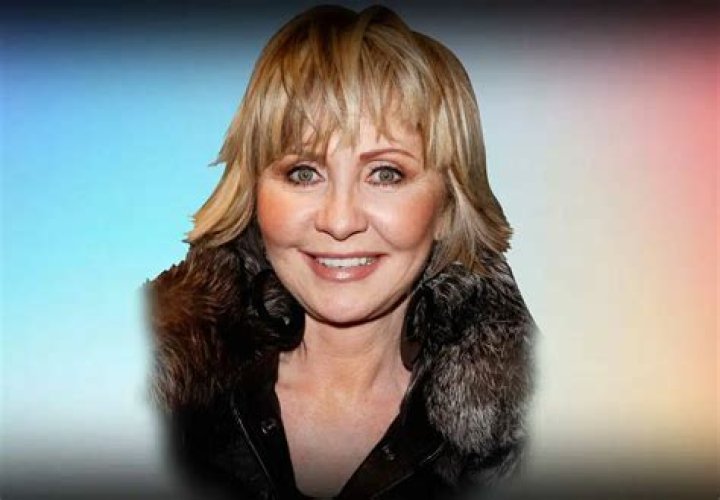 Radu Zamfir Car Accident: What Is The Story Behind It?