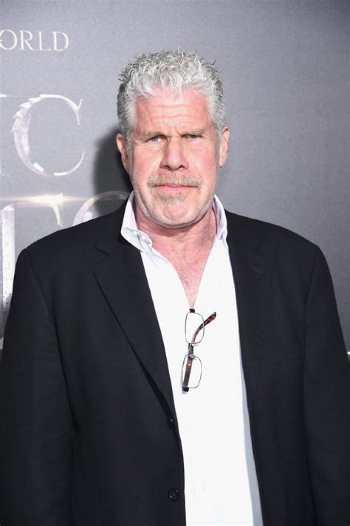 Ron Perlman Height, Weight, Net Worth, Age, Birthday, Wikipedia, Who, Nationality, Biography
