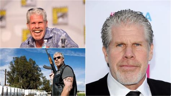 Ron Perlman’s net worth, biography, fact, career, awards and life story