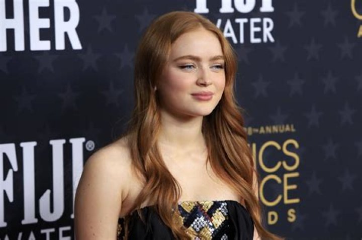 Sadie Sink Age, Net Worth and 5 Other Facts About The Actress