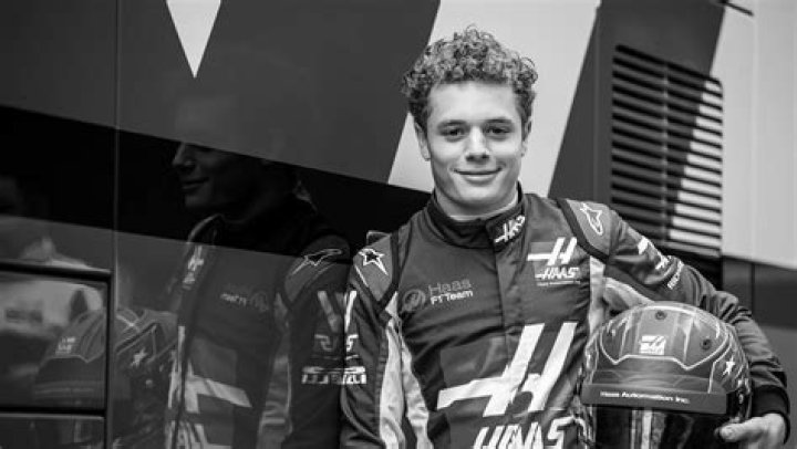 Santino Ferrucci Height, Weight, Net Worth, Age, Birthday, Wikipedia, Who, Nationality, Biography