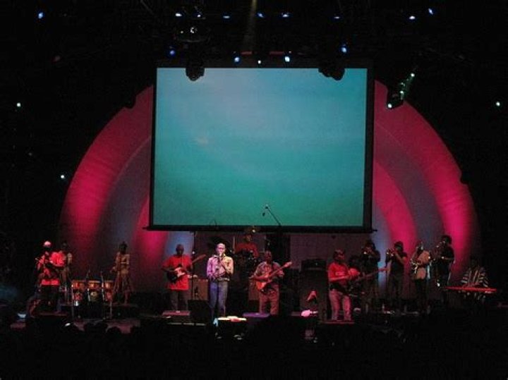 SEUN KUTI BIOGRAPHY,EDUCATION,CARRER,CONTROVERSIES AND NET WORTH.