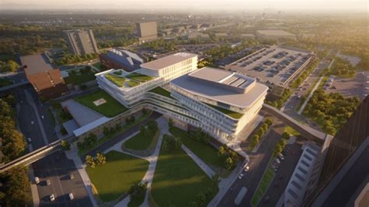 Stephen Ku Cancer Illness: Did Stephen Ku Have Cancer?