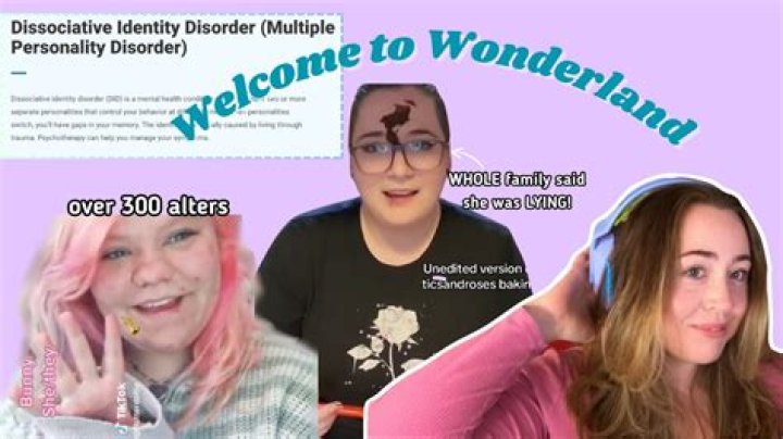 The Wonderland System TikTok Wiki – Trend Meaning and Videos